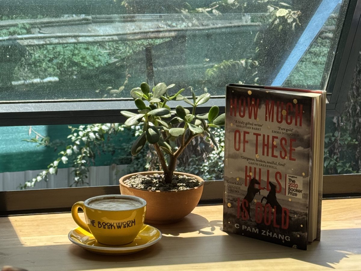 A cup and a book on the windowsill